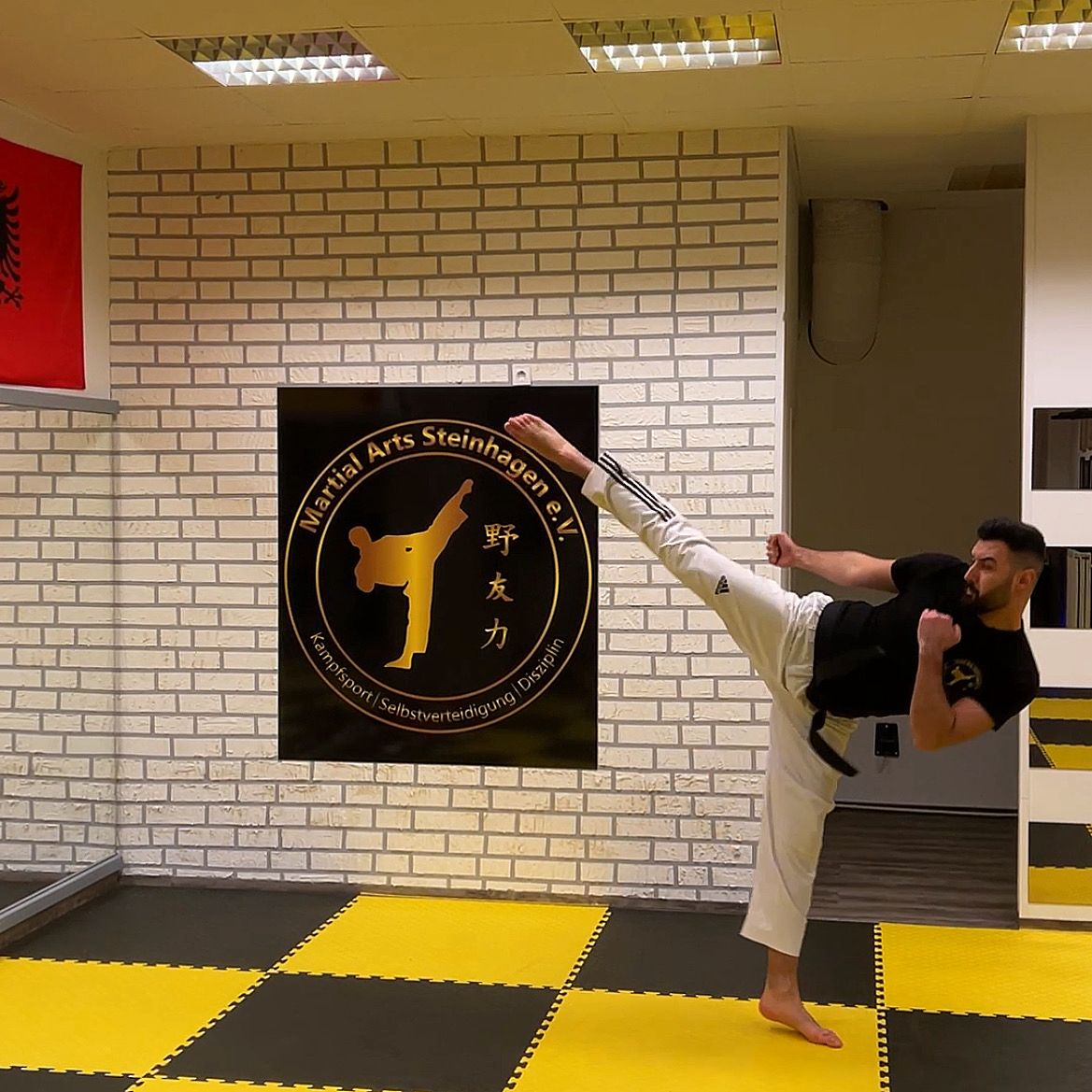 Taekwondo Technik